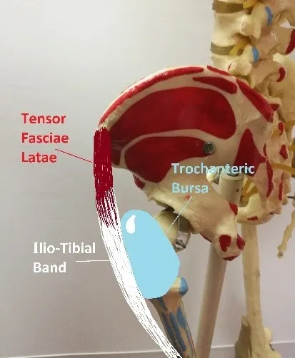 Hip pain bursitis and iliotibial band ITB syndrome