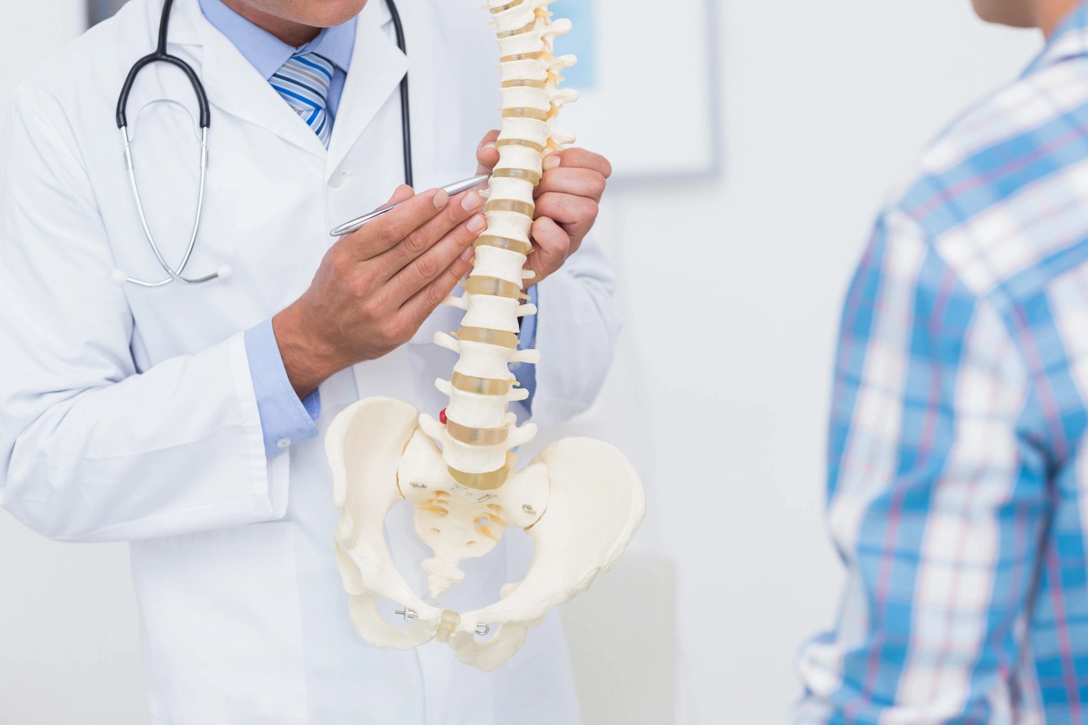 Common Conditions Treated by Chiropractor