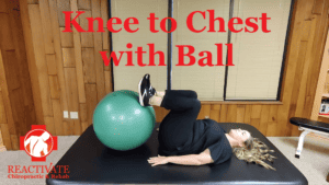 Exercises for back pain back rehab