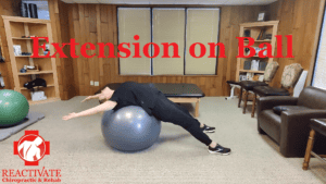 Exercises for back pain back rehab