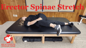 stretches for back pain back rehab