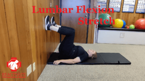 stretches for back pain back rehab