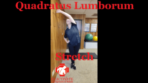 stretches for back pain back rehab