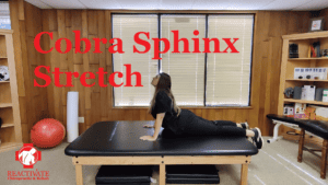 stretches for back pain back rehab