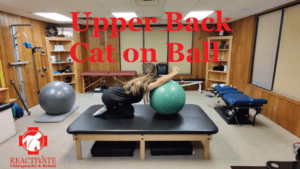 upper back cat on ball stretch