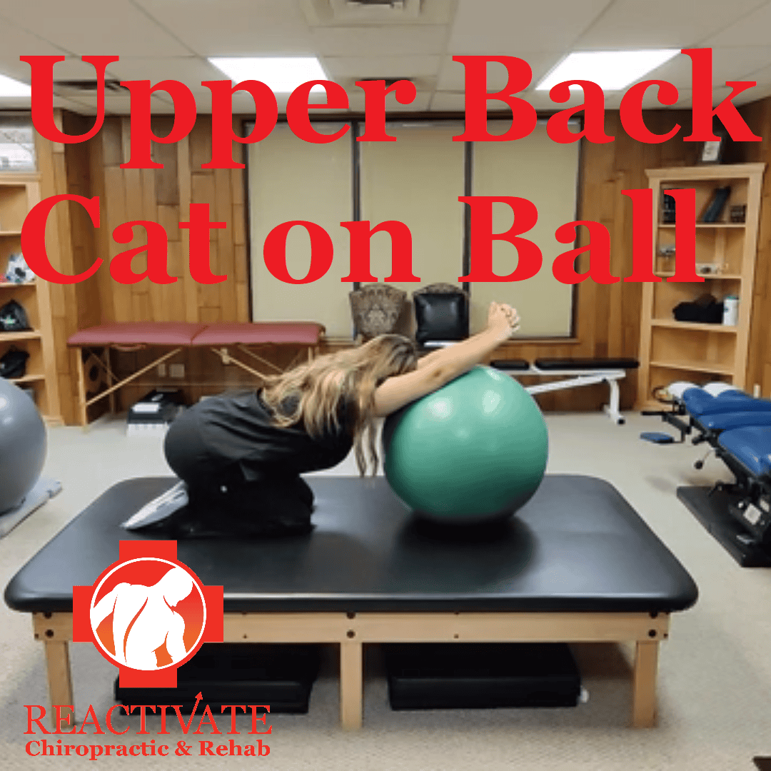 Stretch exercise for upper back pain. Upper back cat on ball physical therapy and rehab.